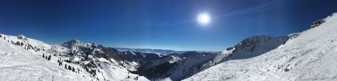 Looking over Mineral Basin